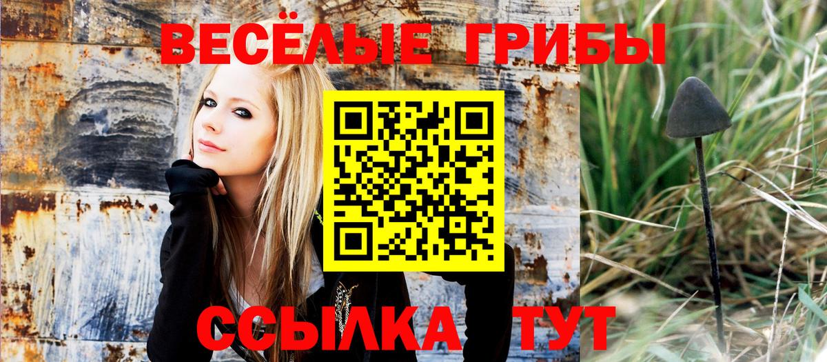 Псилоцибиновые грибы мухоморы  Вход с VPN  Унеча 
